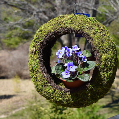 Bird Feeder with Wicker Rim for Bird Seed or Planting